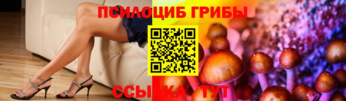 Псилоцибиновые грибы прущие грибы  Галлюциногенные грибы прущие грибы  купить наркоту  Аргун  Вход с VPN 